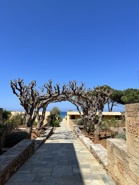 Gartenanlage Kernos Beach Hotel & Bungalows