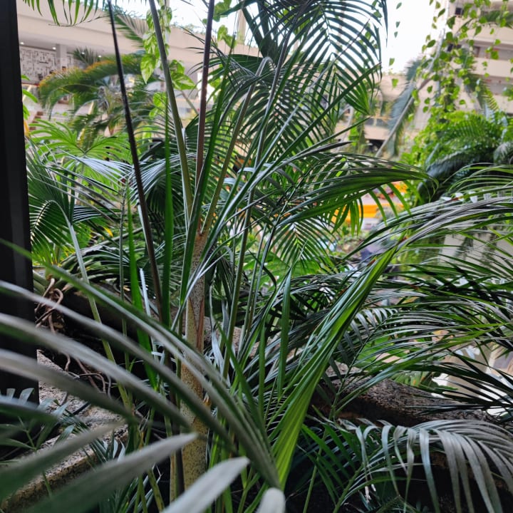 Sonstiges Hotel Grand Teguise Playa