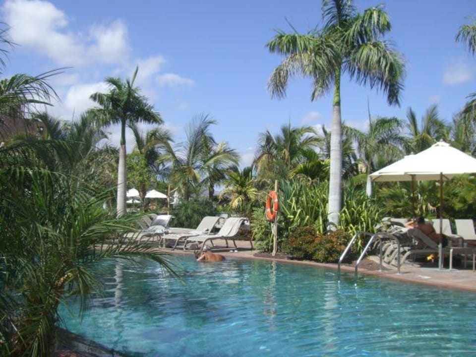 Flusspooll  Lopesan Baobab Resort