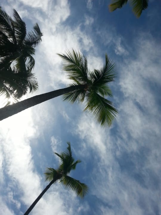 Palme Hotel Grand Palladium Palace Resort, Spa & Casino