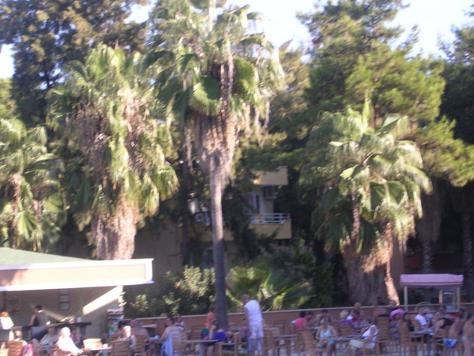 Unter Palmen Club Sidelya Hotel
