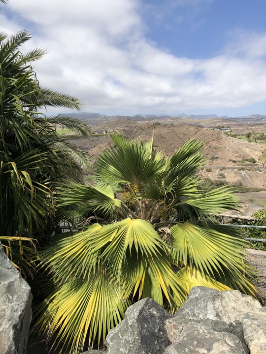 Ausblick Salobre Hotel Resort & Serenity