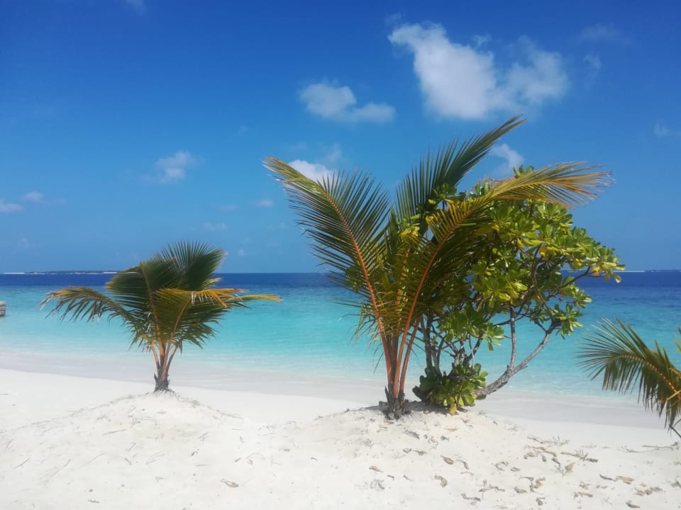 Strand Adaaran Select Meedhupparu Island Resort - Premium All Inclusive