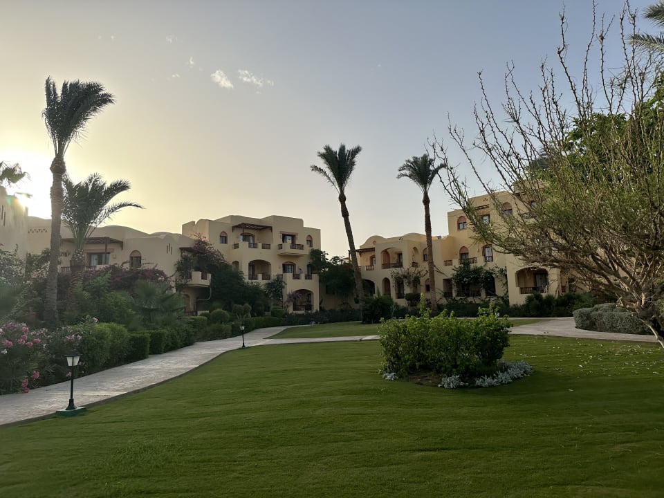 Gartenanlage Steigenberger Coraya Beach - Adults only