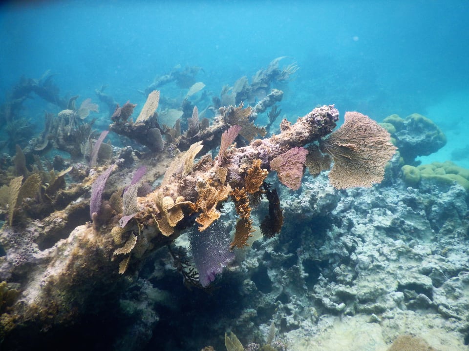 Sport & Freizeit Brisas Guardalavaca Hotel & Villas