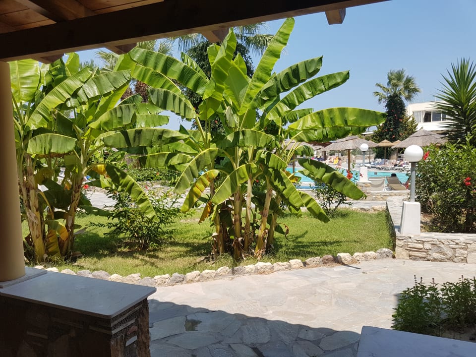Gartenanlage Hotel Kouros Palace