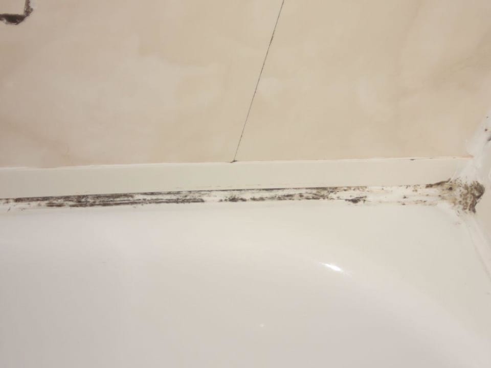 Dusche mit Schimmel Hotel Edén Palma Playa - Adults Only