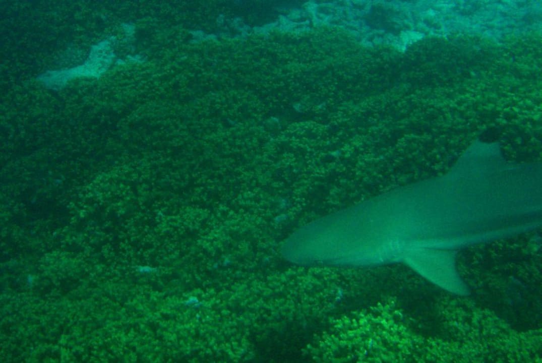 Hai Kuramathi Maldives