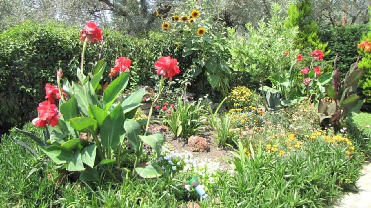 Teilansicht des Gartens Hotel Palirria