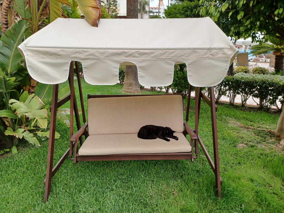 Gartenanlage Saphir Resort & Spa