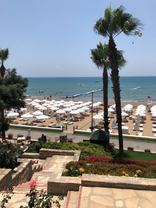 Strand Arum Barut Collection