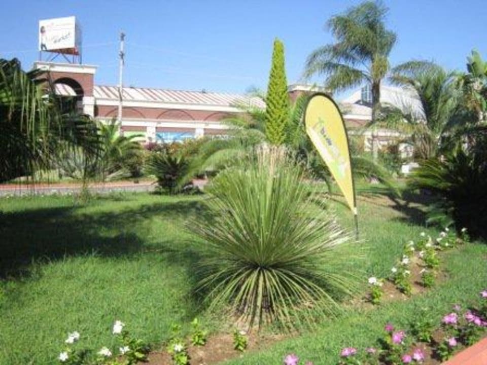 Hotel Iberotel Palm Garden TUI BLUE Palm Garden
