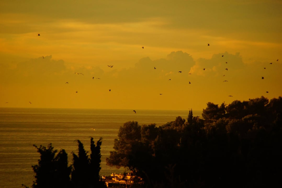 Blick vom Balkon bei Abendrot Hotel Albatros Plava Laguna