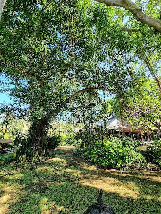 Gartenanlage Hyatt Regency Bali