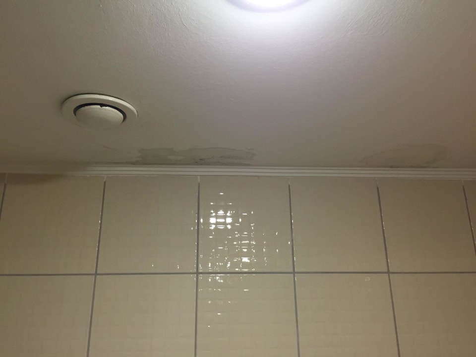 Alle mögliche Farben und Sporen Starlight Resort Hotel