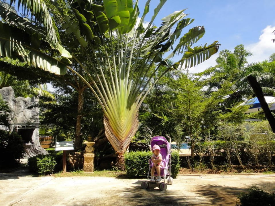 На прогулке Hotel Nattha Waree Hotsprings Resort & Spa