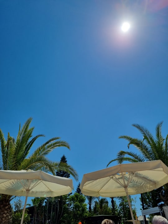 Pool Hotel Delphin Diva