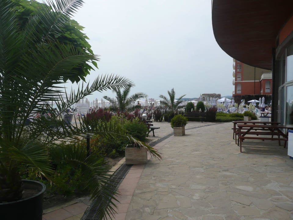 Mini ogród oddzielający hotel od plaży Sol Luna Bay