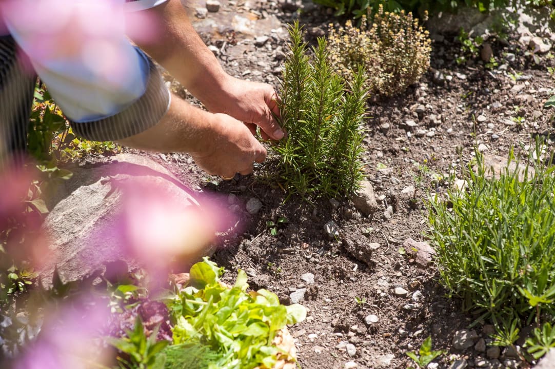 Garten Hotel Ultnerhof