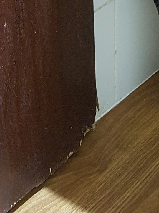 Zimmer SBH Fuerteventura Playa