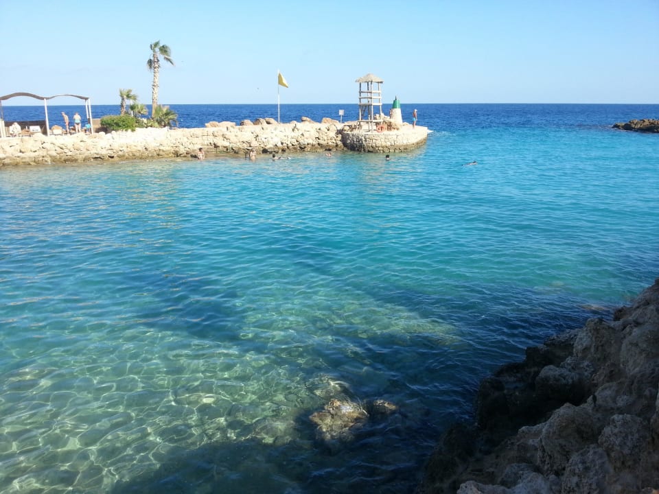 Schöner schnorchspot Pickalbatros Citadel Resort