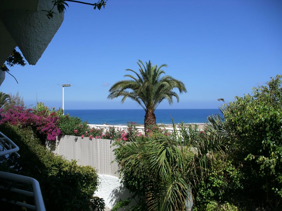 Unser Ausblick beim Frühstück Hotel Taboga