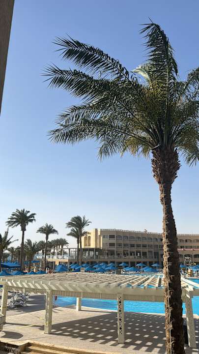 Pool Beach Albatros Resort