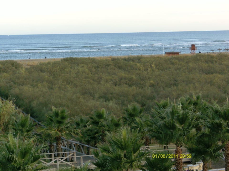 Desde la habitacion Playacanela Hotel