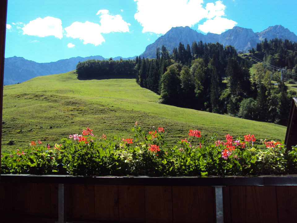 Ausblick Haus Paxer