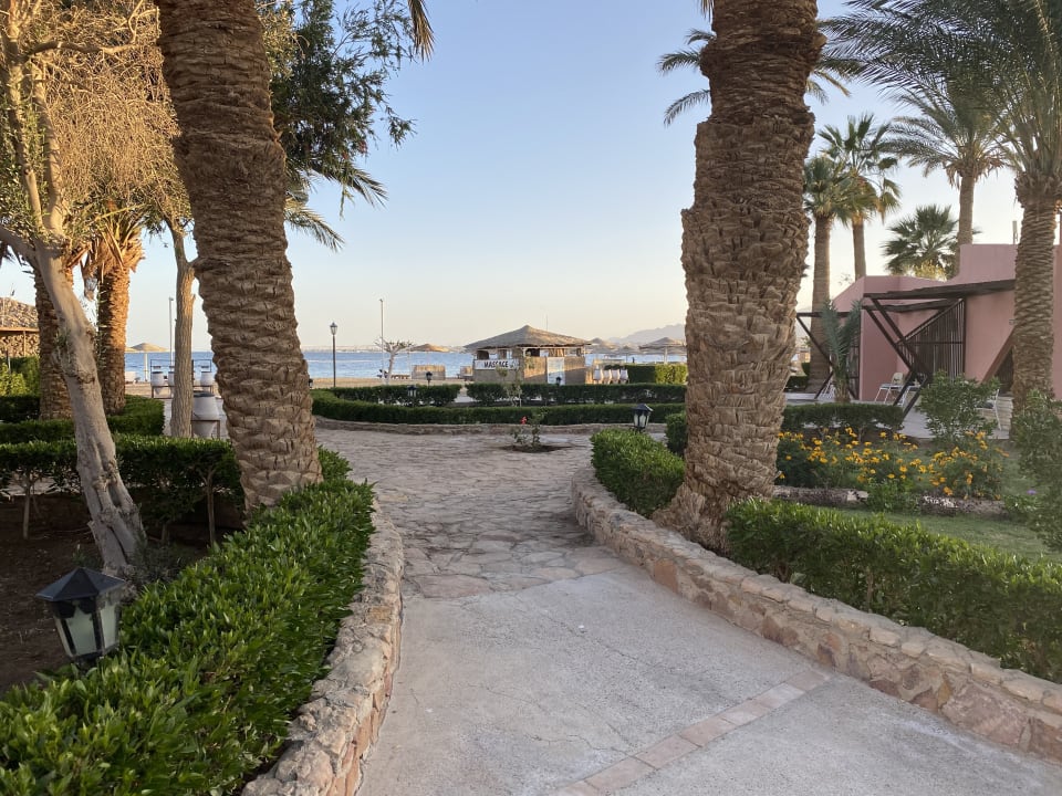 Gartenanlage Eagles Paradise Abu Soma