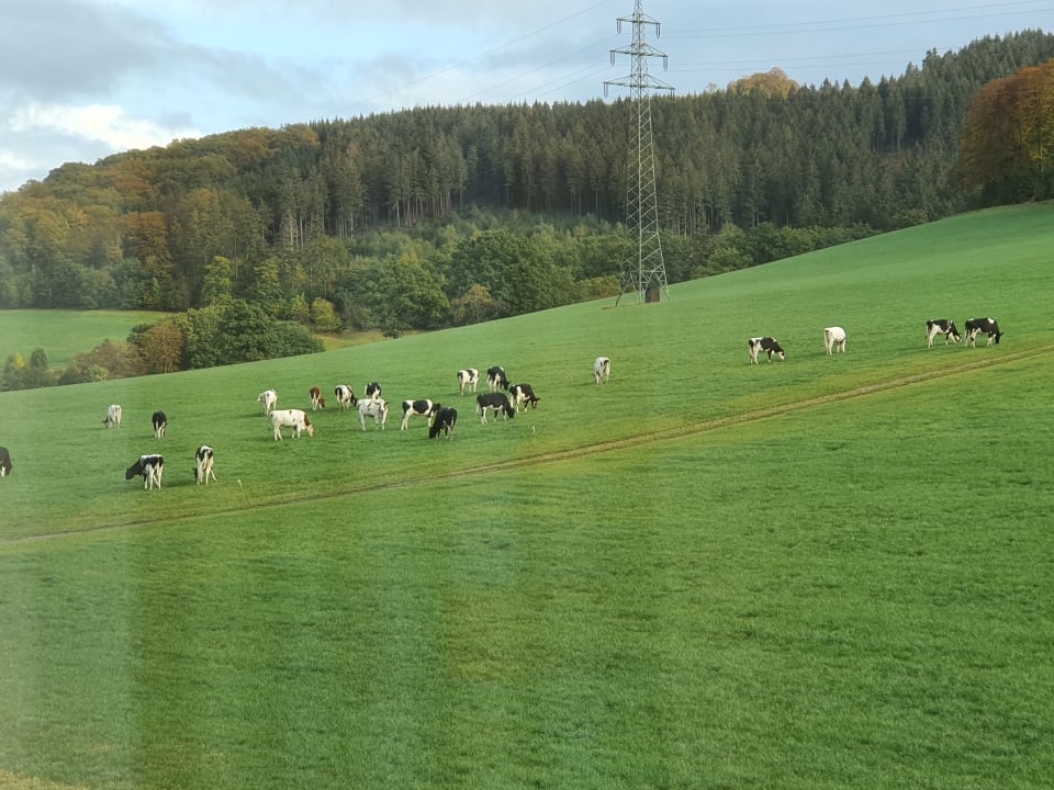 Ausblick Landhotel Wüllner