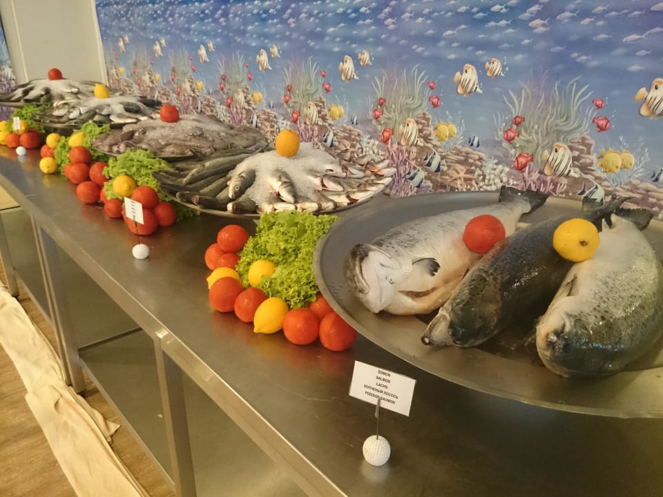 Fischabend  Paloma Oceana