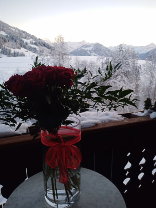 Ausblick Ermitage Wellness- & Spa-Hotel