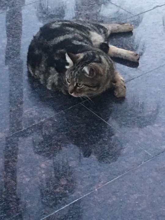 Sonstiges Saphir Resort & Spa