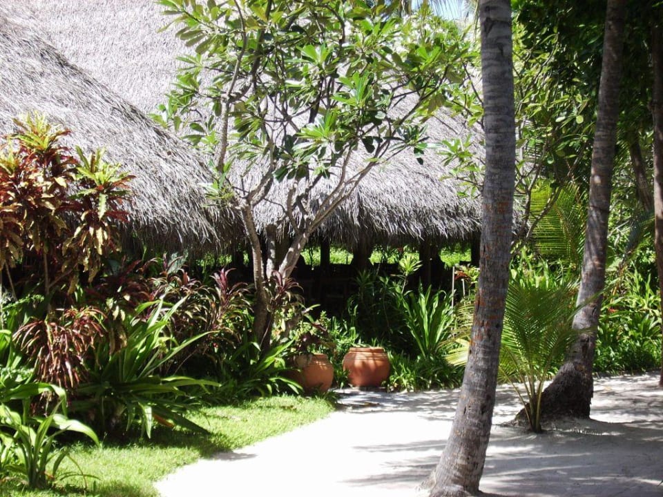 Rezeption Kuramathi Maldives