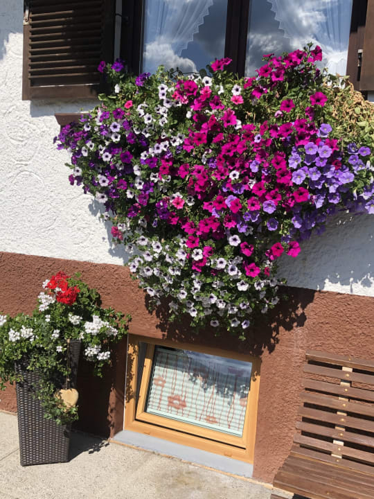 Sonstiges Pension Arnika