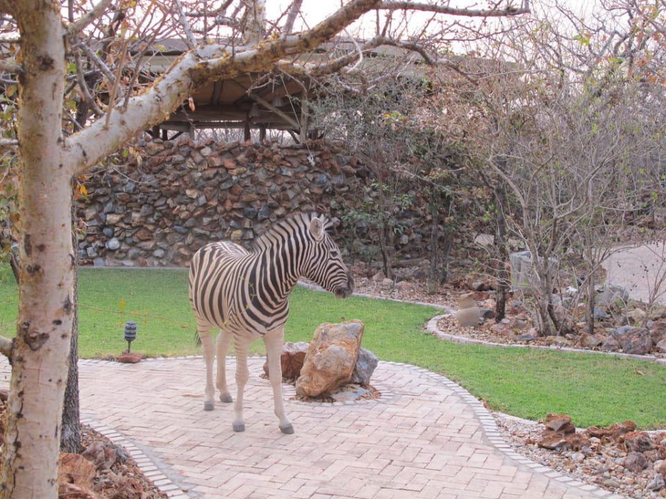 Garten mit Haustier Etosha Village