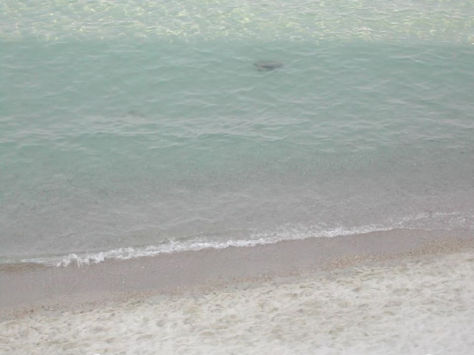 Strand Ammon Zeus Luxury Beach Hotel