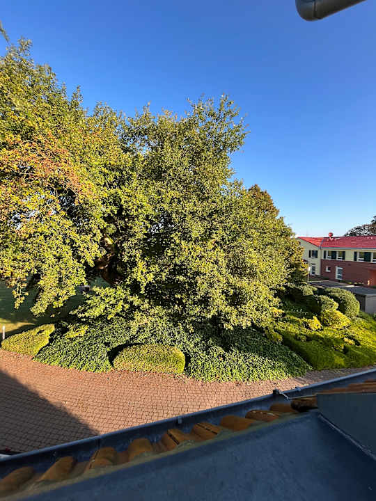 Gartenanlage Gut Gremmelin