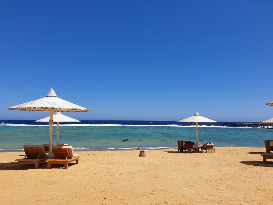 Strand Pickalbatros Sea World Resort - Marsa Alam
