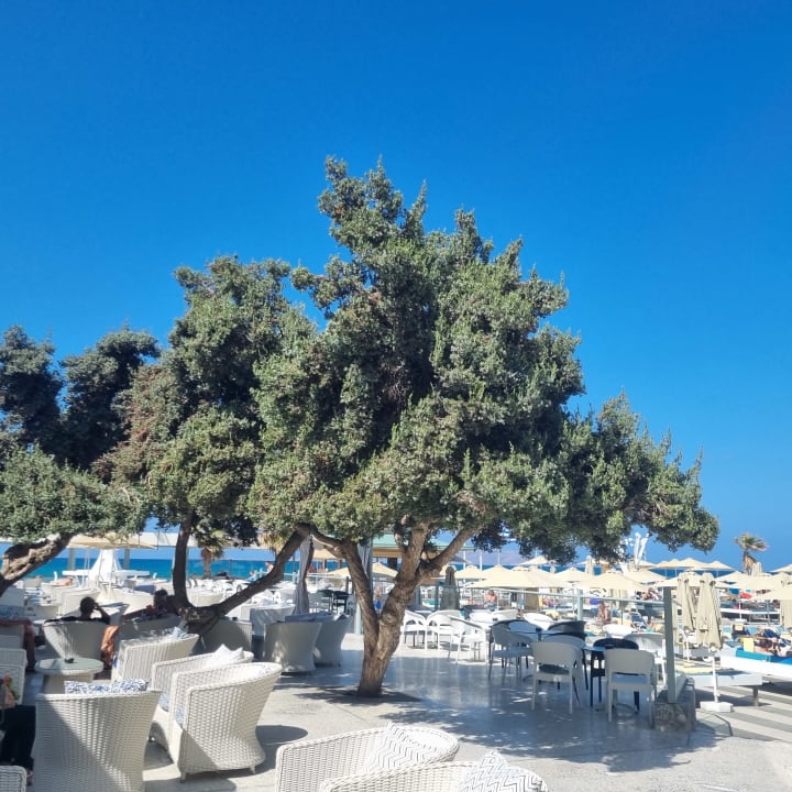 Gastro Arina Beach Resort