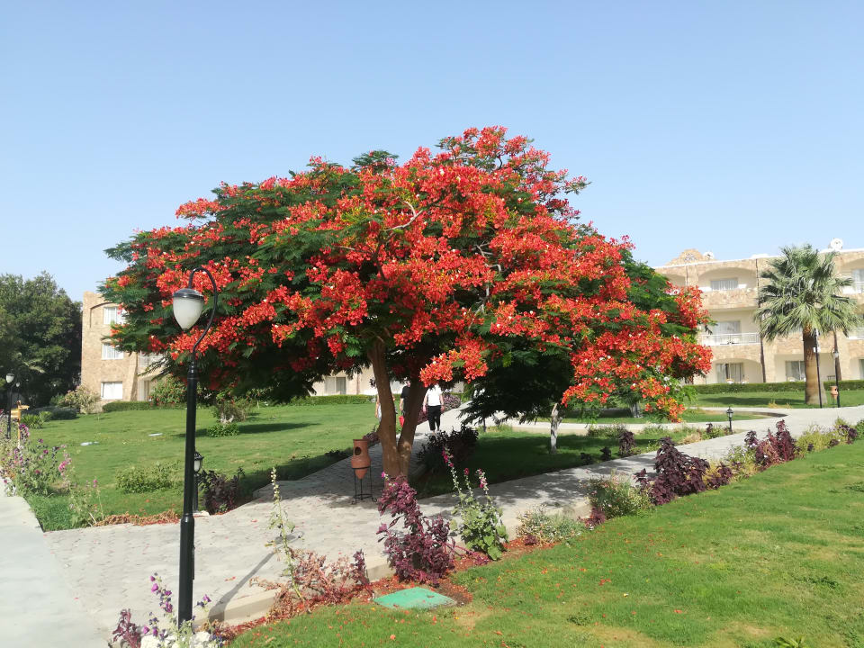 Gartenanlage Brayka Bay Resort