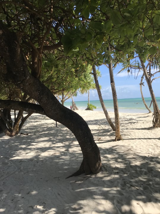 Strand Neptune Pwani Beach Resort & Spa