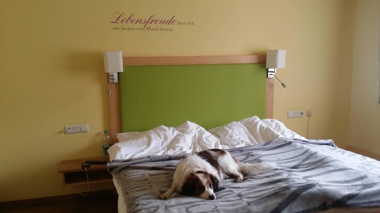 Doppelzimmer Größe "Labrador" Hotel Grimming