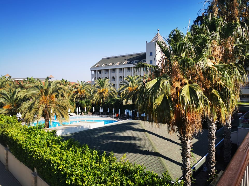 Pool Calimera Hane Garden