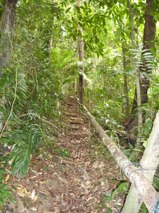 Schweißtreibend Hotel Pangkor Laut Resort/Estates