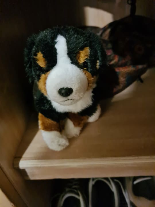 Zimmer Beatus Wellness- & Spa-Hotel