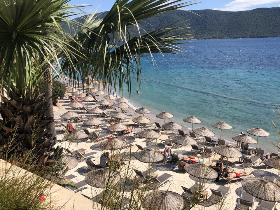 Strand TUI MAGIC LIFE Bodrum - Adult Only (16+)