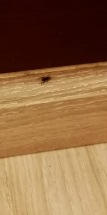 Zimmer SBH Hotel Taro Beach