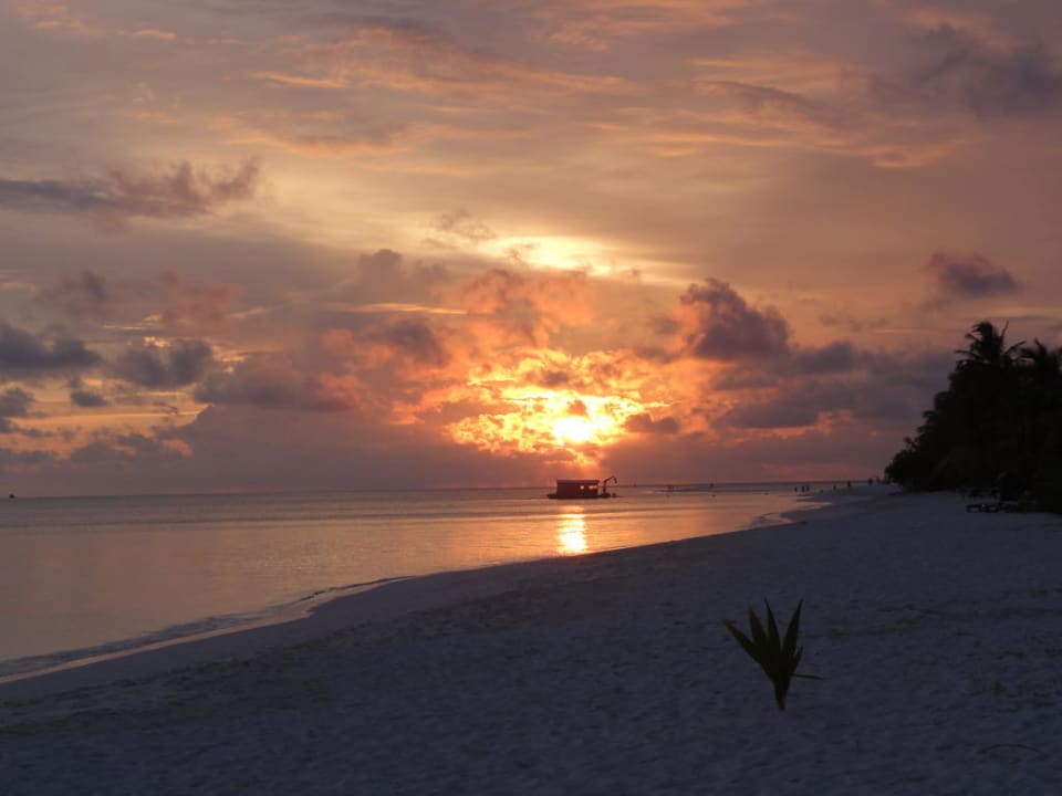 Sonnenuntergang Jacuzzi Beach Villa Kuredu Island Resort & Spa